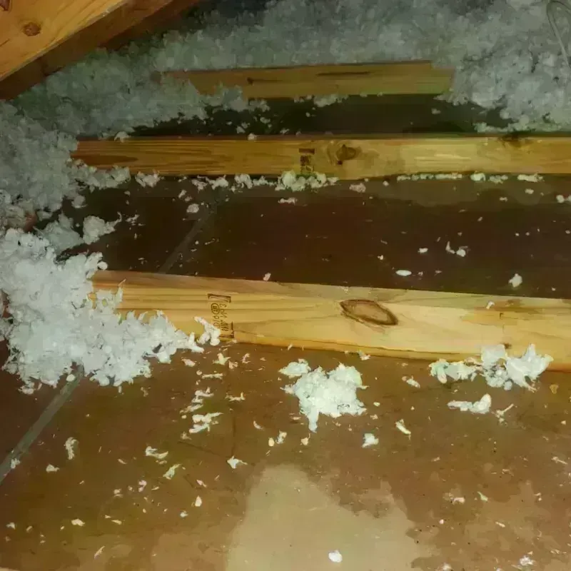 Attic Water Damage in Raynham Center, MA